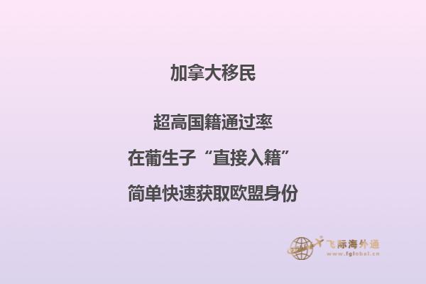 加拿大大西洋四省申請條件，你符合以下條件嗎？