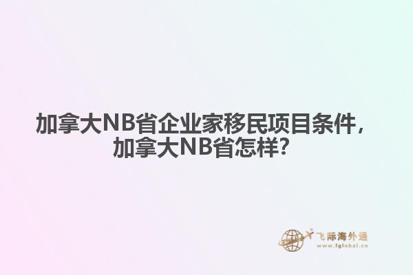 加拿大NB省企業(yè)家移民項目條件，加拿大NB省怎樣？