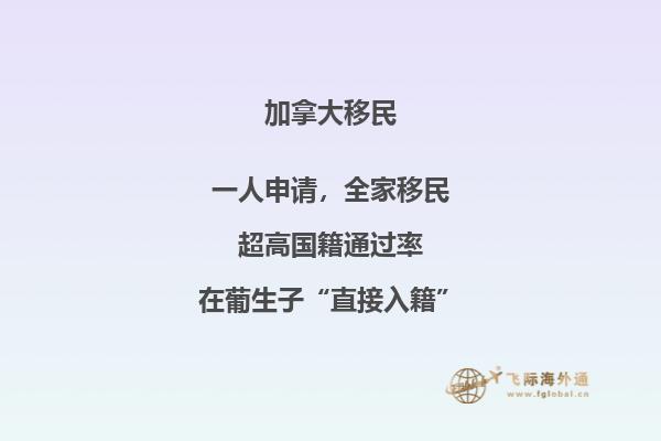 加拿大留學(xué)移民好還是新西蘭移民，本文告訴你答案！