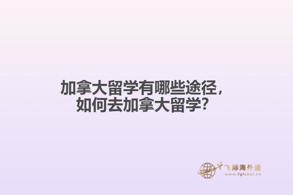 加拿大留學(xué)有哪些途徑，如何去加拿大留學(xué)？