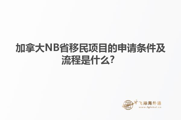 加拿大NB省移民項目的申請條件及流程是什么？