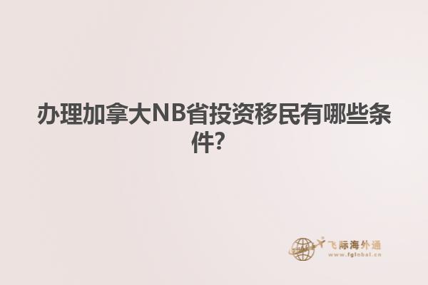 辦理加拿大NB省投資移民有哪些條件？