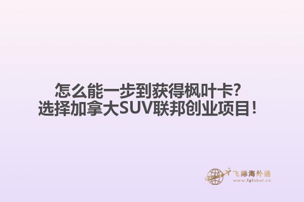 怎么能一步到獲得楓葉卡？選擇加拿大SUV聯(lián)邦創(chuàng)業(yè)項(xiàng)目！