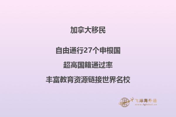 移民局背調電話注意事項，應對移民局背景調查方法