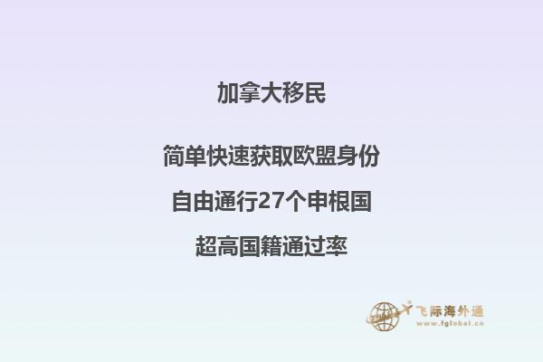 加拿大大學排名2023最新排名