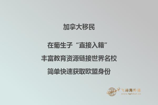 加拿大移民官方網(wǎng)站上傳資料查詢不到