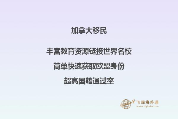 加拿大約克大學相當于國內什么大學