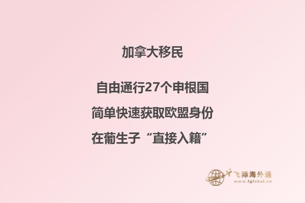 加拿大薩省阿玲個(gè)人主頁(yè)西瓜視頻