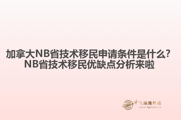 加拿大NB省技術(shù)移民申請(qǐng)條件是什么？NB省技術(shù)移民優(yōu)缺點(diǎn)分析來啦 